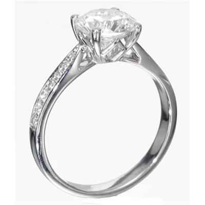 Designers cathedral engagement ring