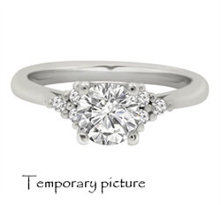 Foto Engagement ring with 6 small side diamonds, for all center diamond sahpes and sizes de